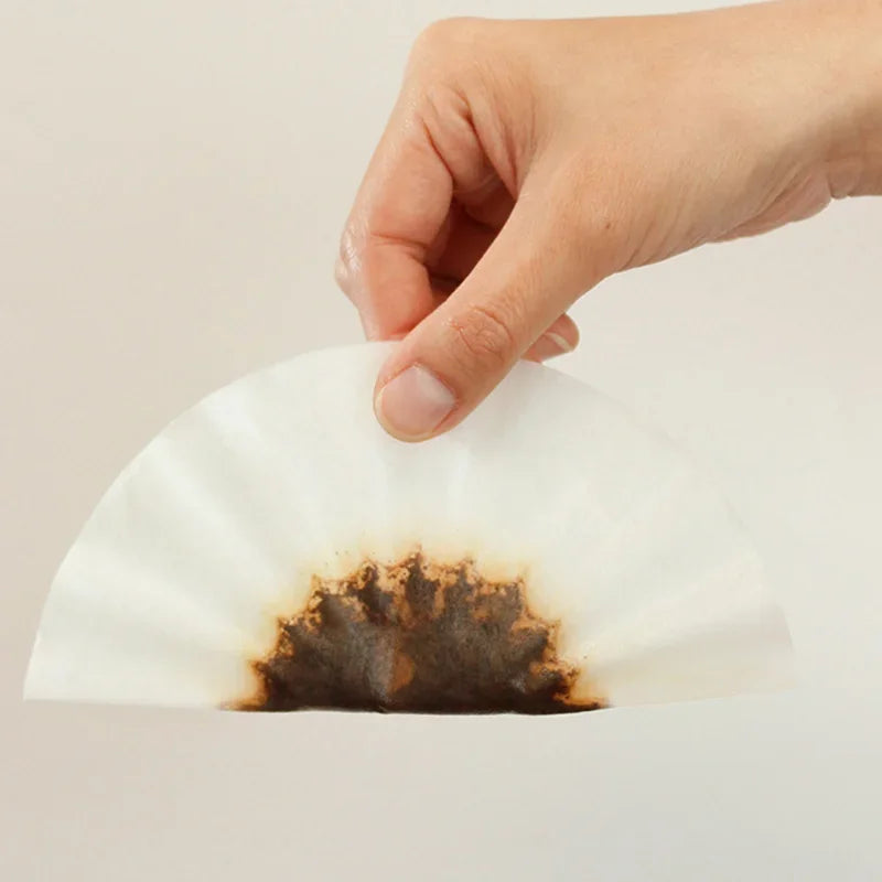 Coffee Filter Cupcake Model